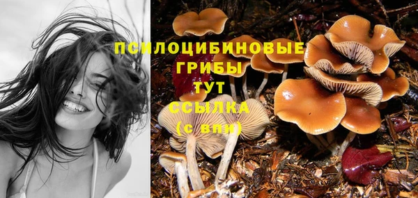 стаф Михайловск