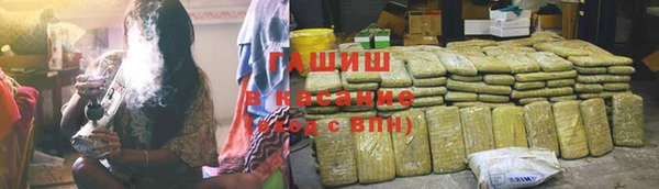 прущие грибы Нижний Тагил