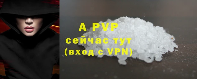 стаф Михайловск
