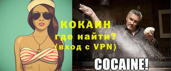 стаф Михайловск