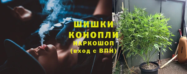 стаф Михайловск