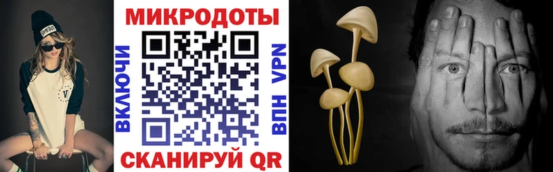Галлюциногенные грибы Cubensis  mega ССЫЛКА  Зверево 